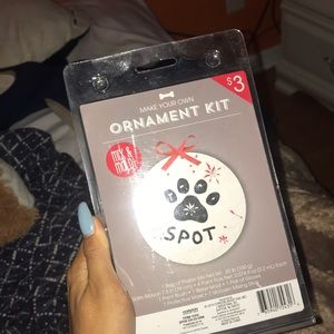 ornament kit !!